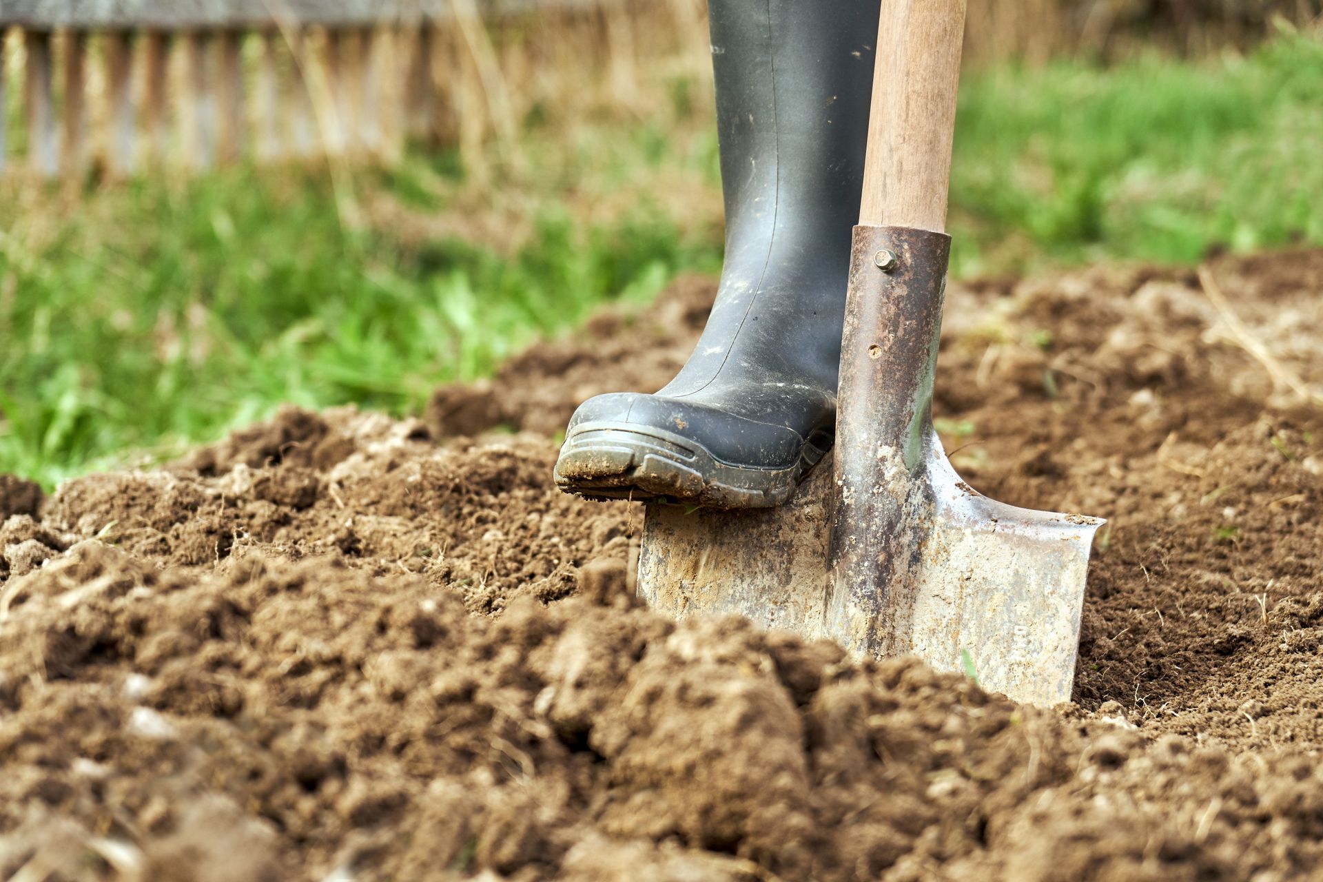 Person digging soil with a shovel in a garden or field