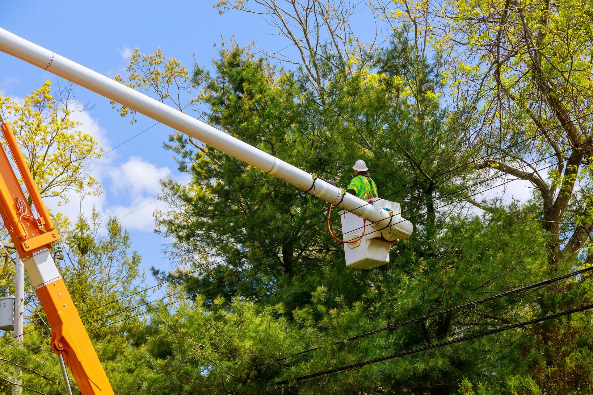 Worker in a bucket lift trimming tree branches beside power lines under a blue sky