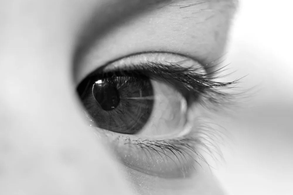 Close-up of a Human Eye, Showing the Iris, Pupil, and Eyelashes — All Body Holistic Health in Thuringowa Central, QLD
