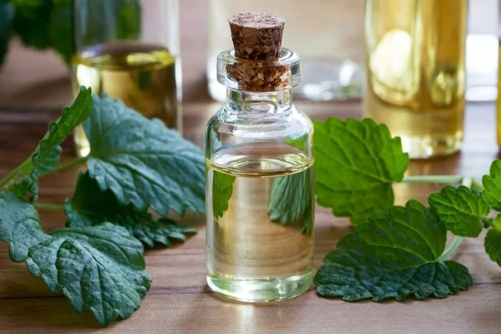 Small Glass Bottle of Light Yellow Liquid With Cork — All Body Holistic Health in Thuringowa Central, QLD