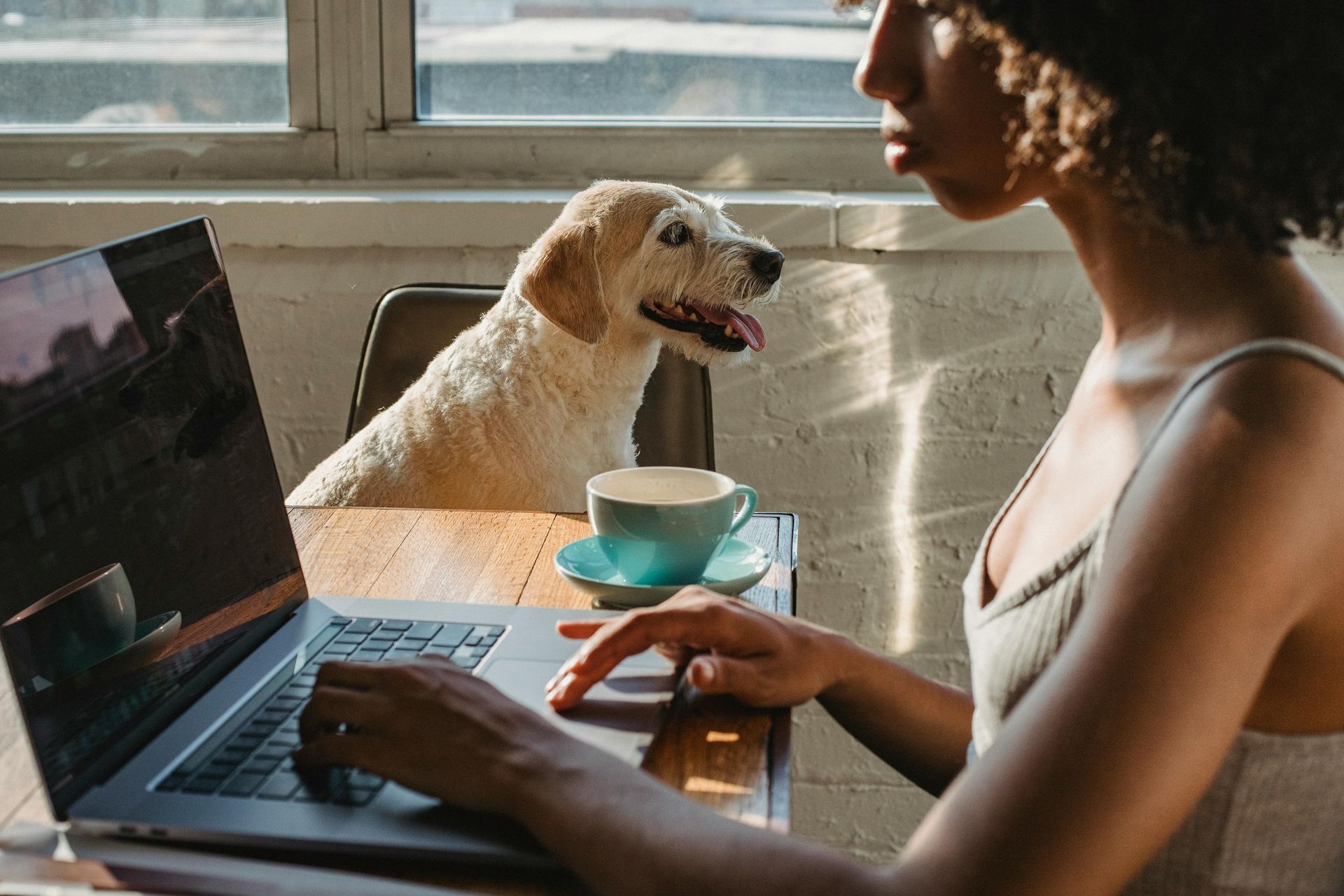 Veterans Webworks client - business growing online