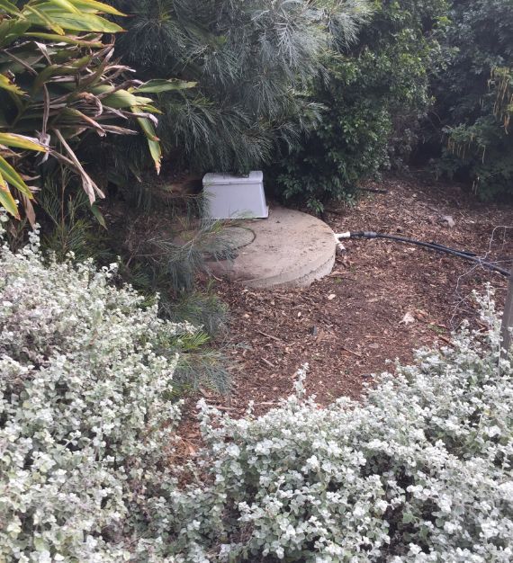 A Concrete Manhole Cover is Surrounded by Bushes and Trees — All Systems Wastewater Maintenance In Jilliby, NSW

