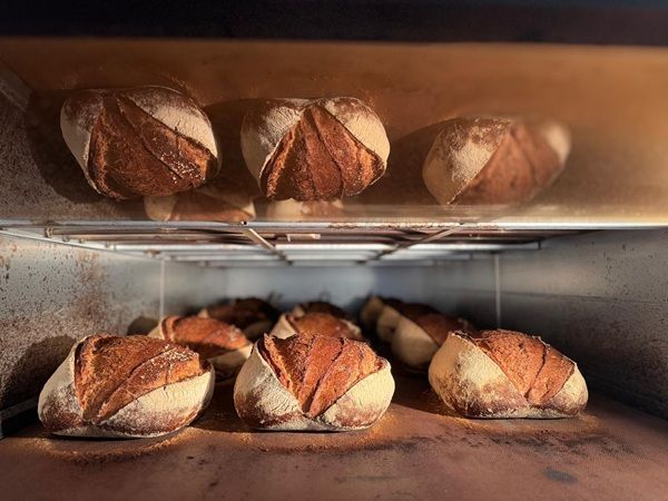 Pagnotte di pane appena sfornate che si raffreddano su griglie metalliche in un forno da forno.