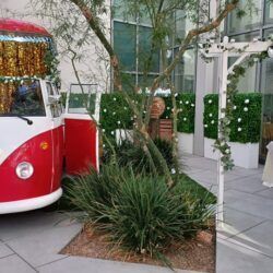 Vegas Wedding Chamber IPW 2021 14