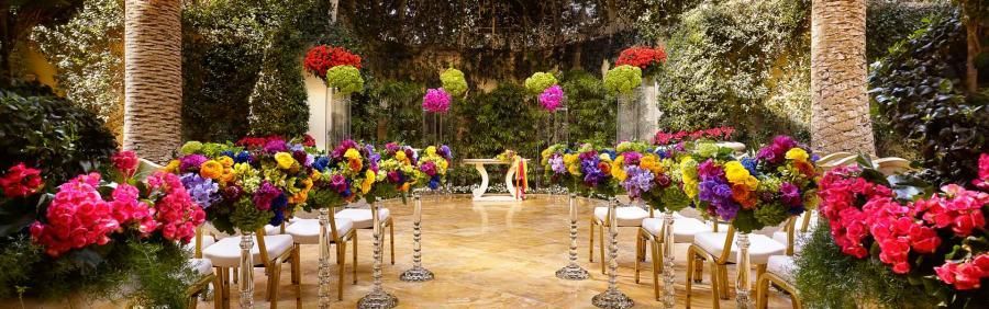 A row of chairs are lined up in front of a row of colorful flowers.