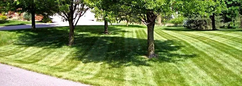 Landscaping Services  — Hutchinson, KS — Jason's Total Lawn Care