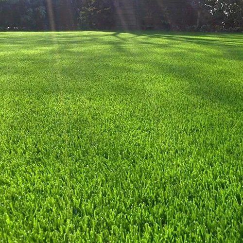 Artificial grass fitting | The Lawn Enforcers
