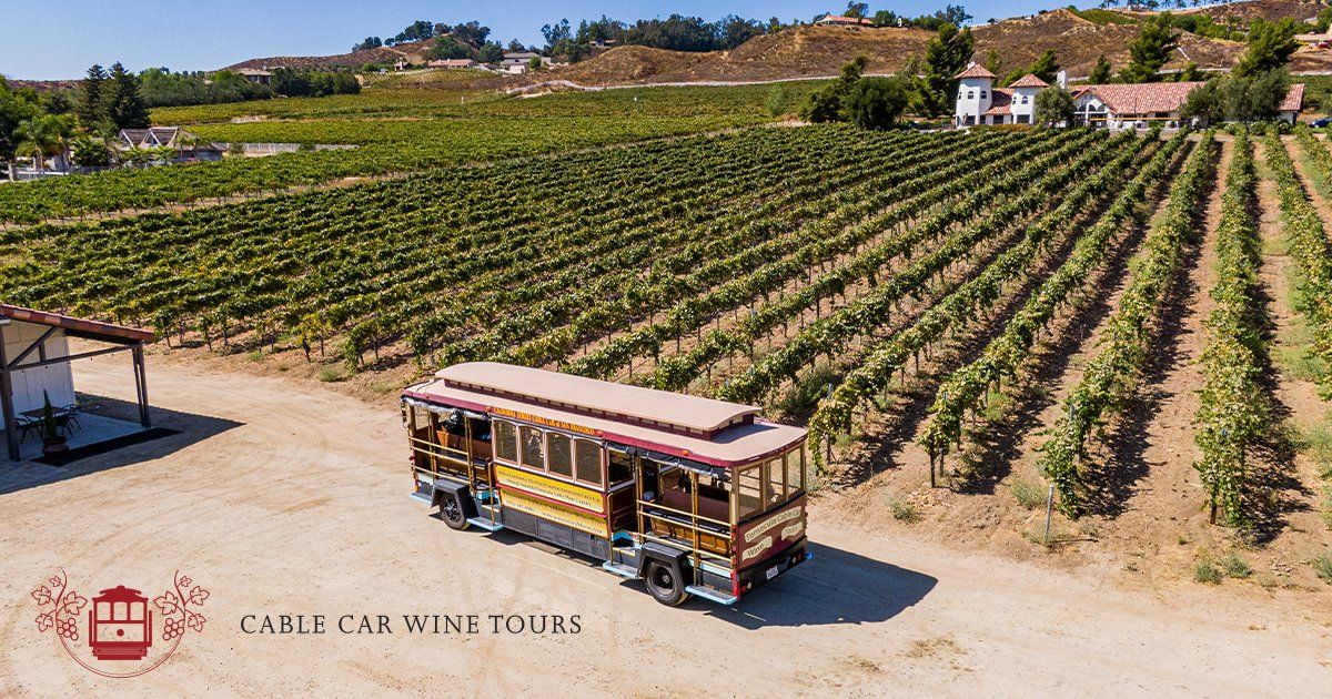 driving wine tour