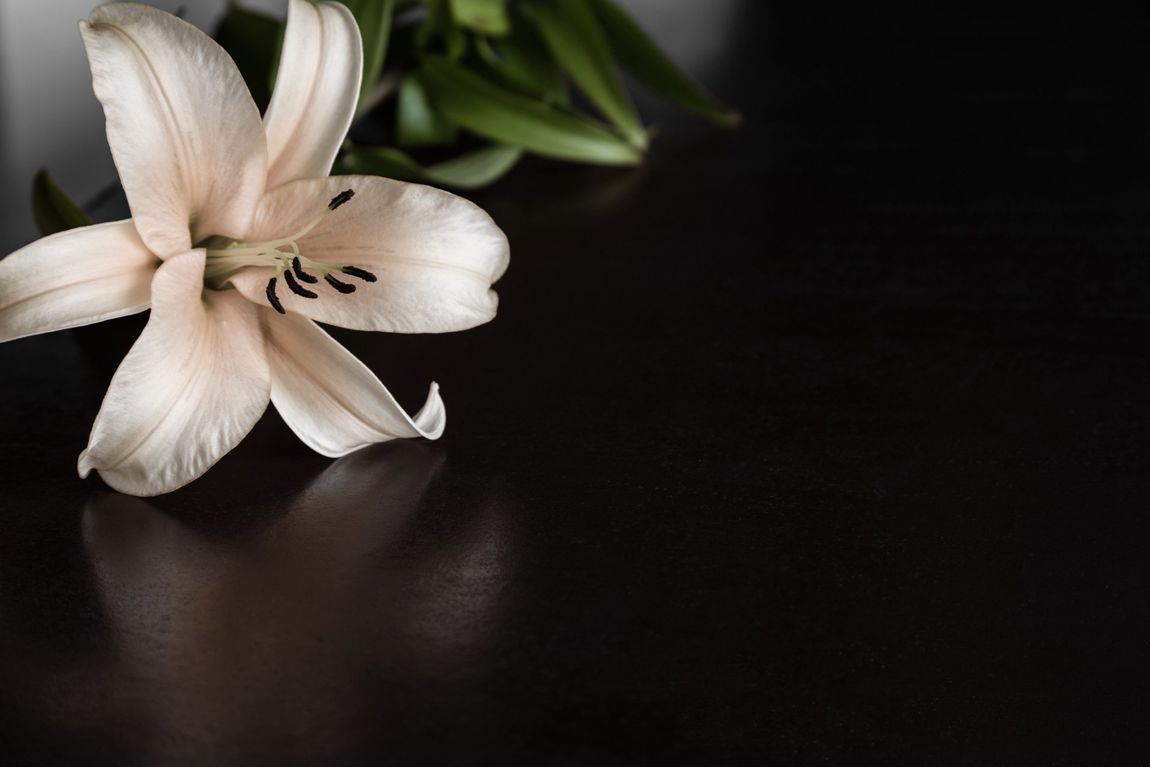 fiore bianco sopra un tavolo