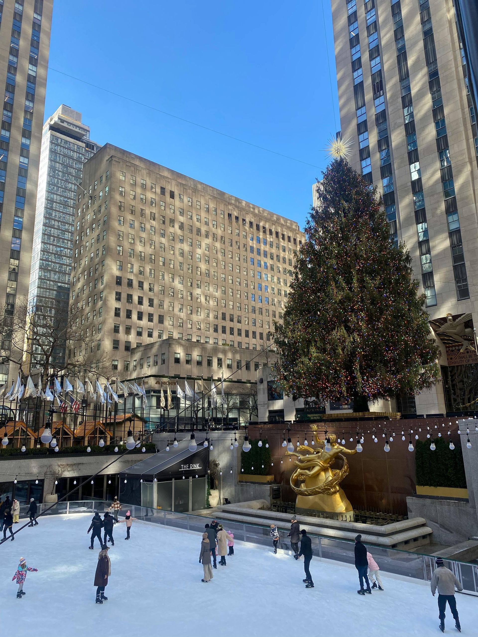 A group of people are ice skating in front of a christmas tree.