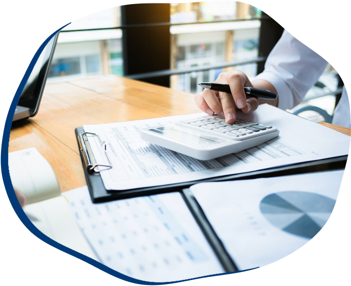 Business audits using a calculator financial data