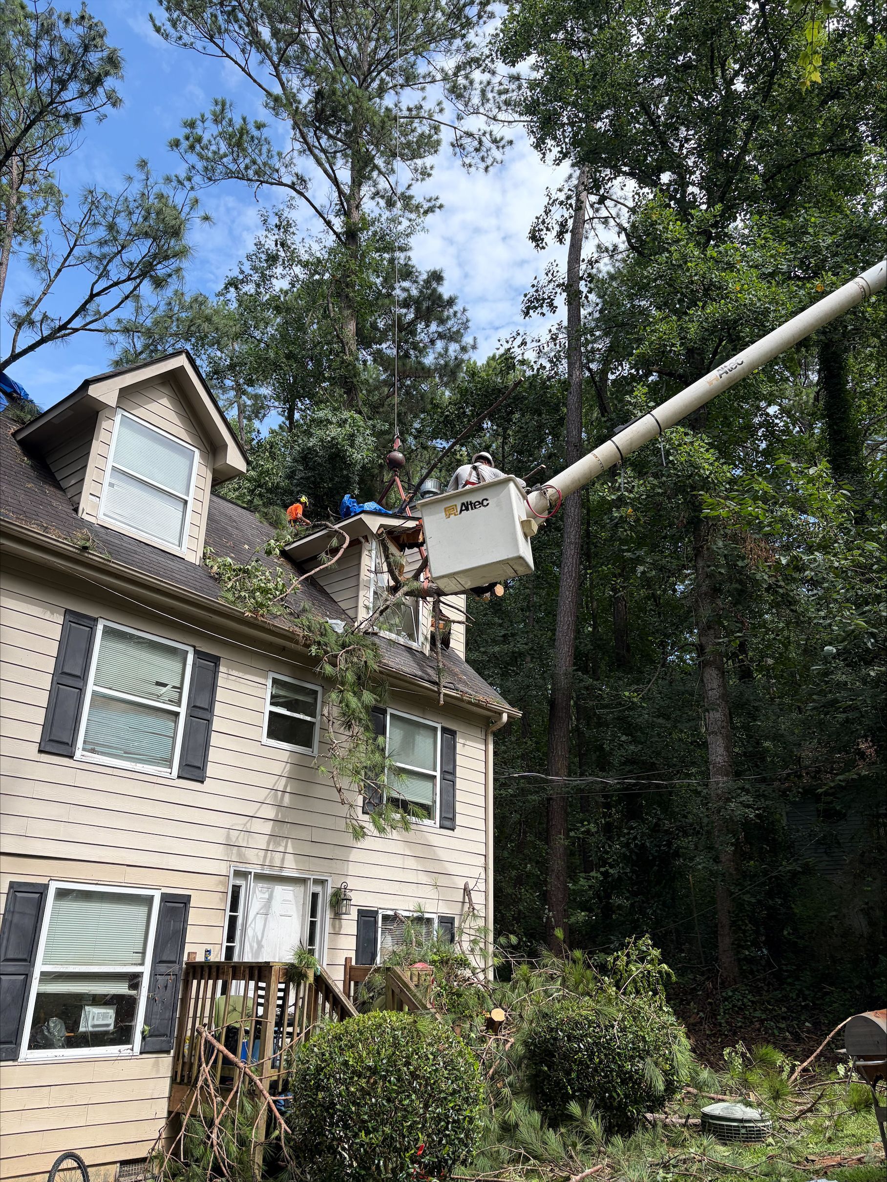 Workers clearing a fallen tree beside a road, with a utility truck in the background.
