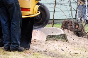 Person standing beside yellow lawnmower near a tree stump in a yard