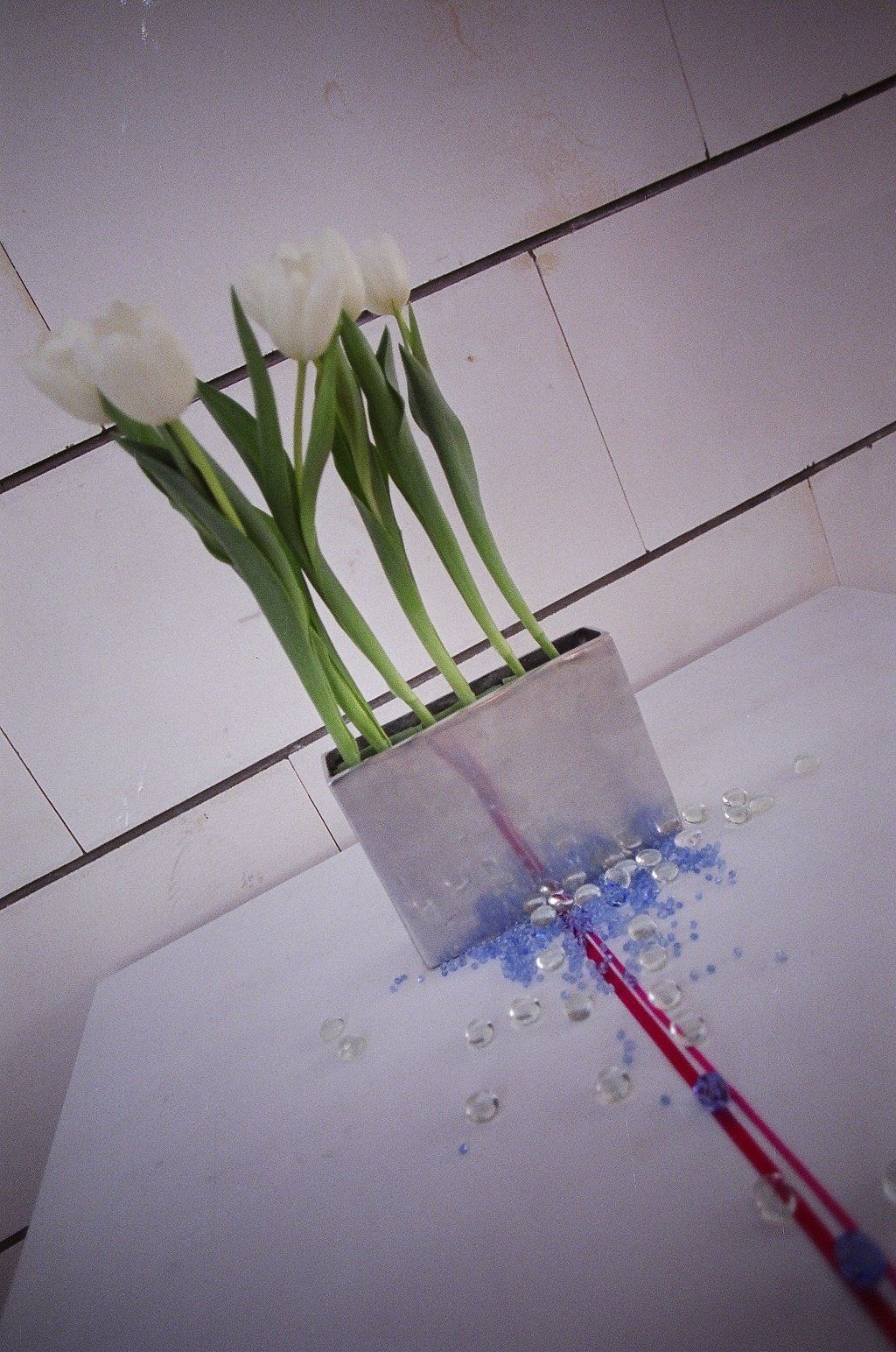 שייפ קליניק