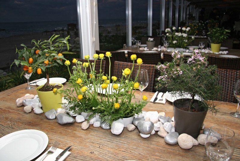 יום הולדת 60