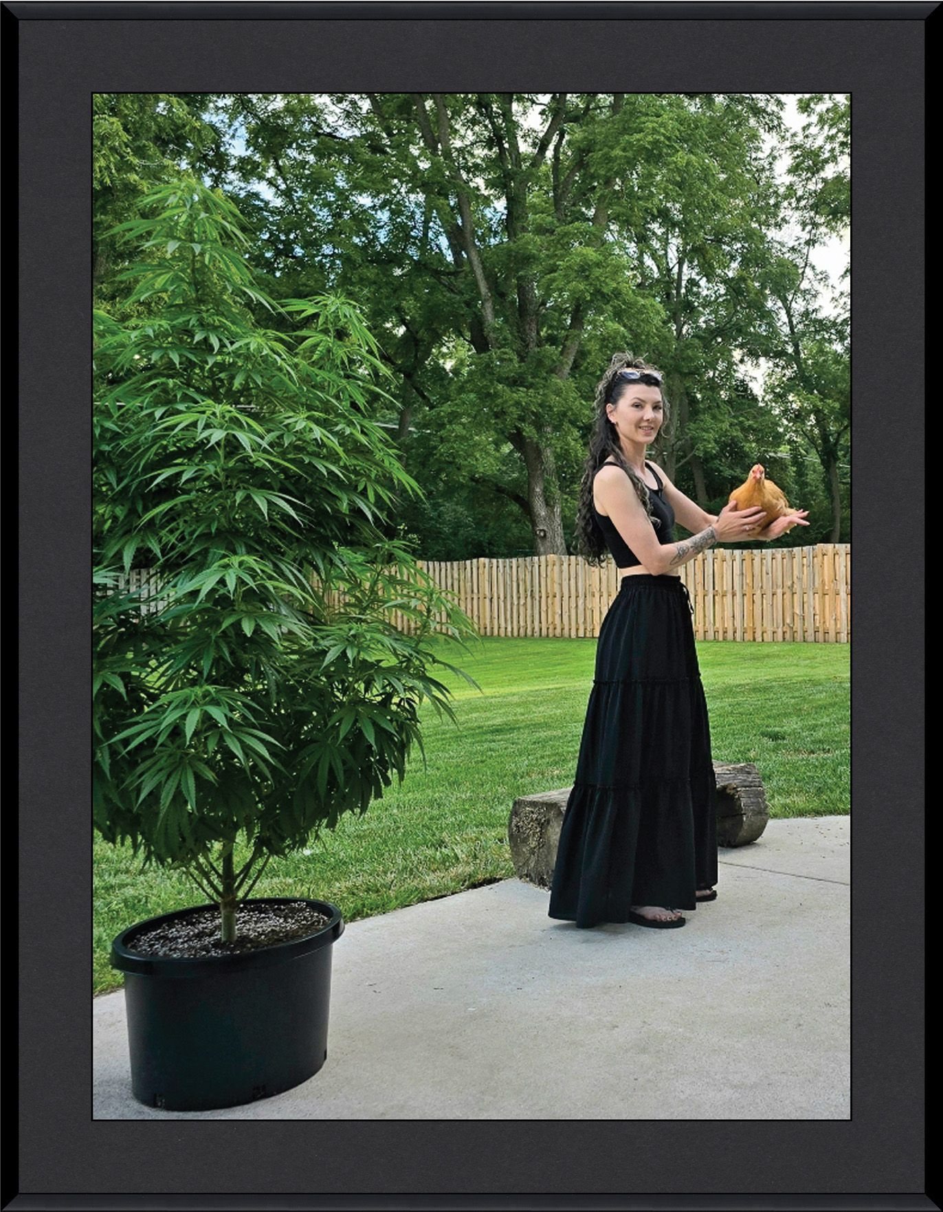 Custom Indica Cannabis Wall Art