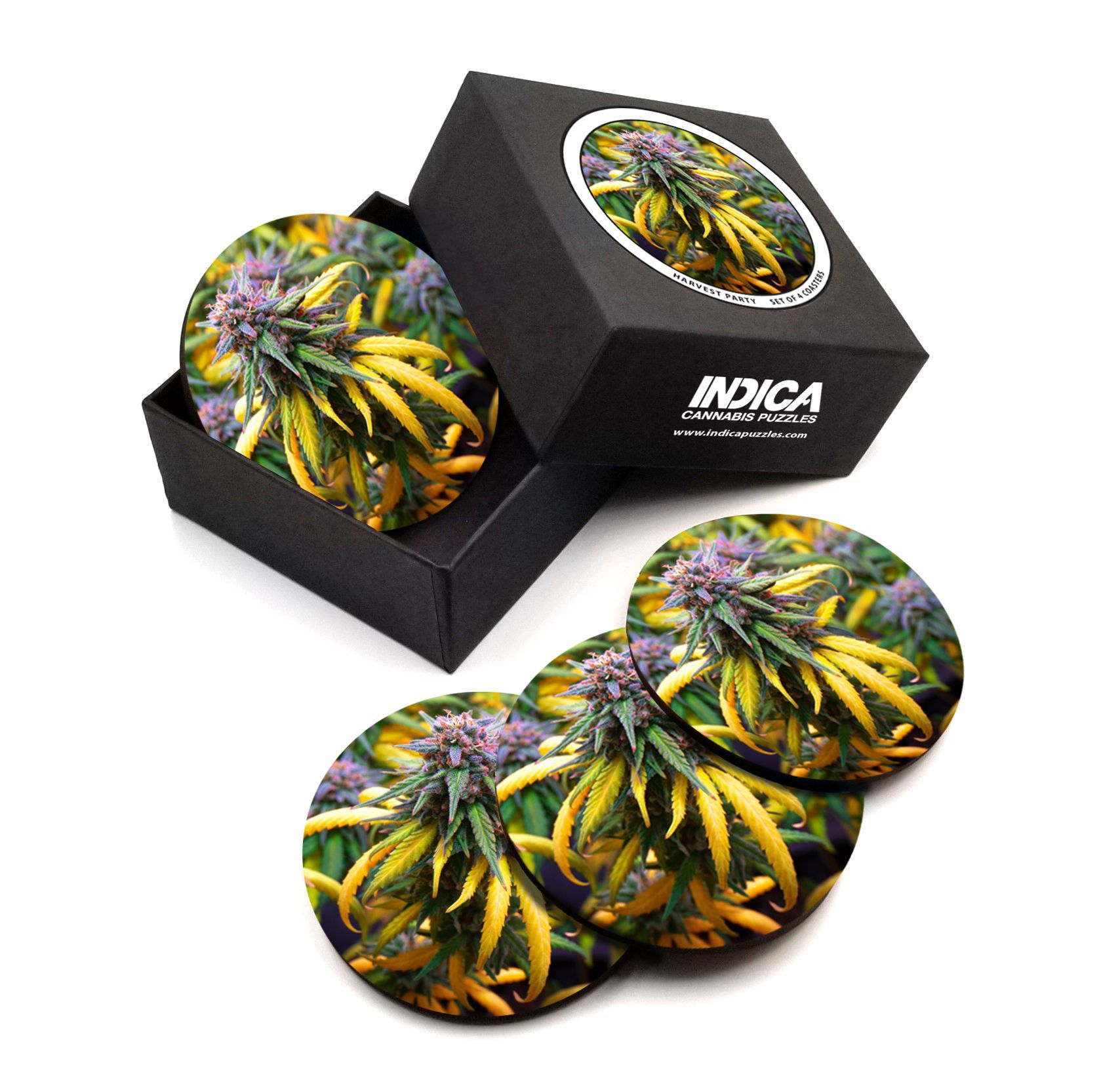 Flirty Slurty, Indica Coasters