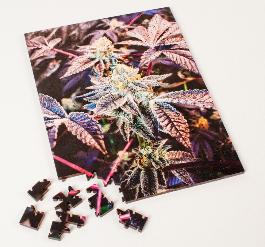 Indica Jigsaw Puzzle: Sports Farmer