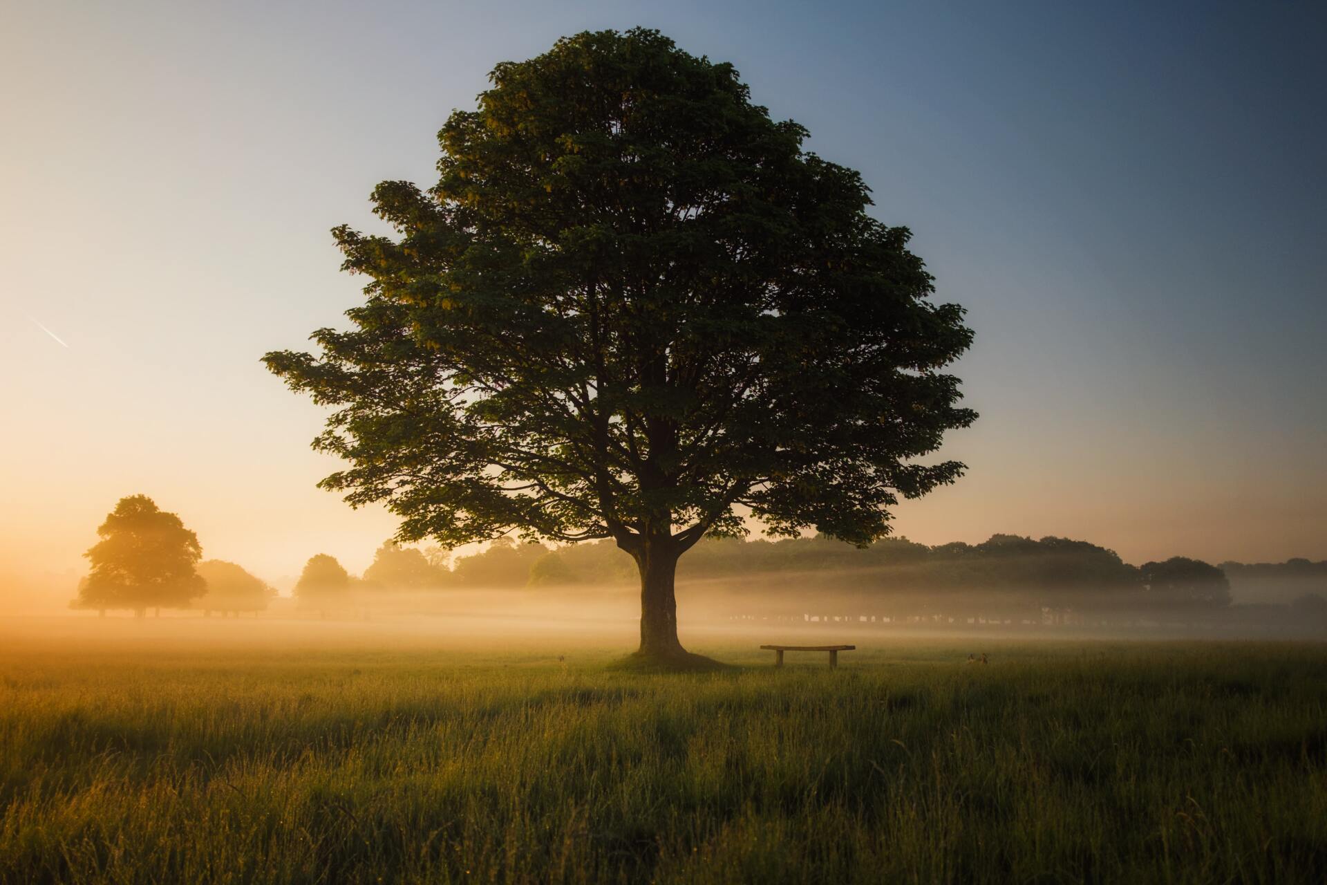 in touch ministries daily devotion in touch ministries daily devotion