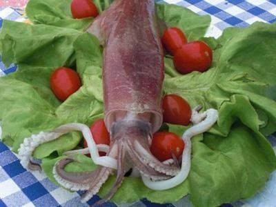 Recipe for stuffed squid