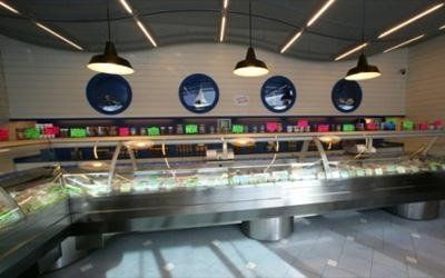 frozen fish offers Follo