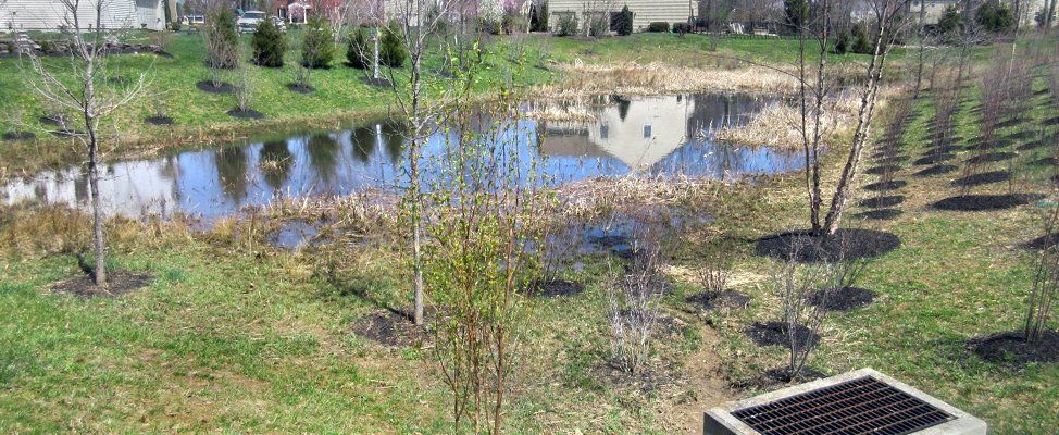 Retention Basin Inspection