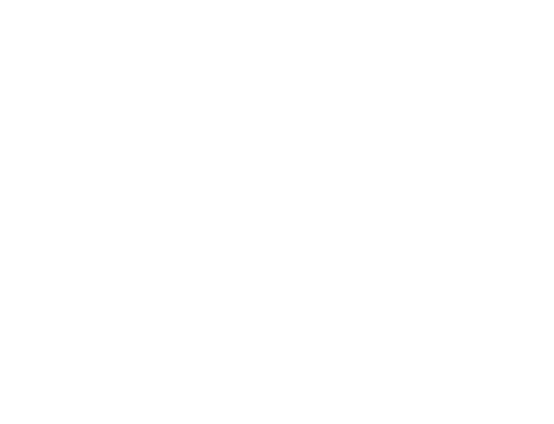 Absolute Commercial Capital (ACC) logo