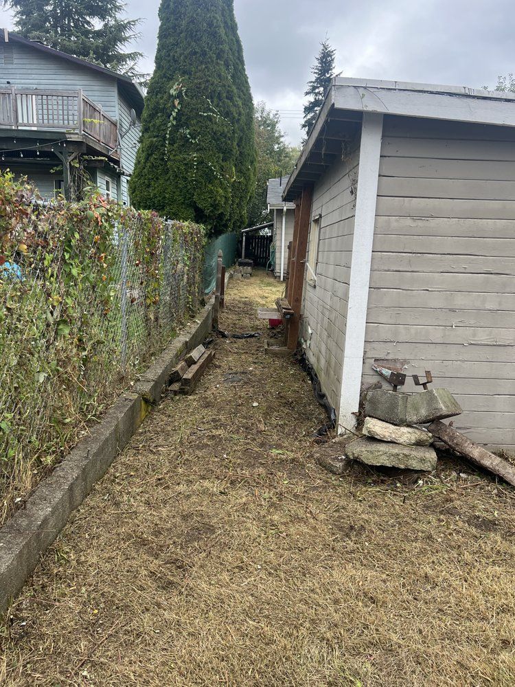 A dirt path leading to a shed in a backyard.