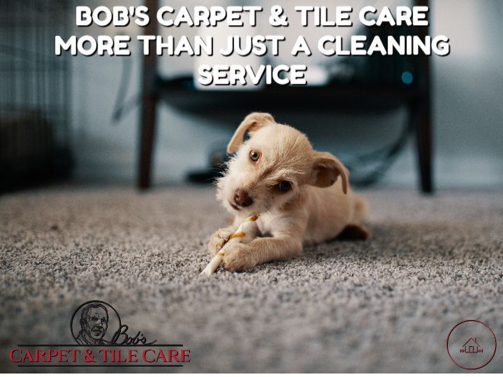 A small dog is laying on a carpet with a bone in its mouth.