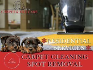 Two puppies are sitting next to a vacuum cleaner.