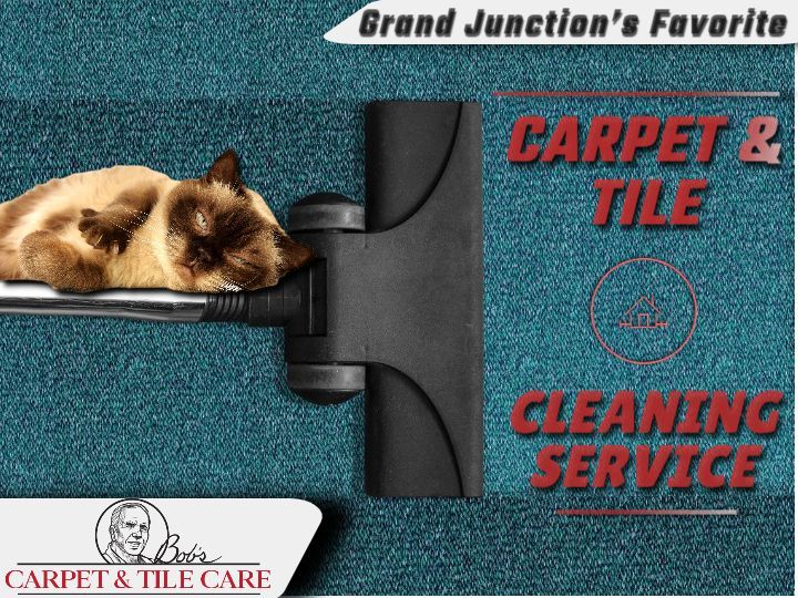 A cat laying on top of a vacuum cleaner with the words grand junction 's favorite carpet & tile cleaning service