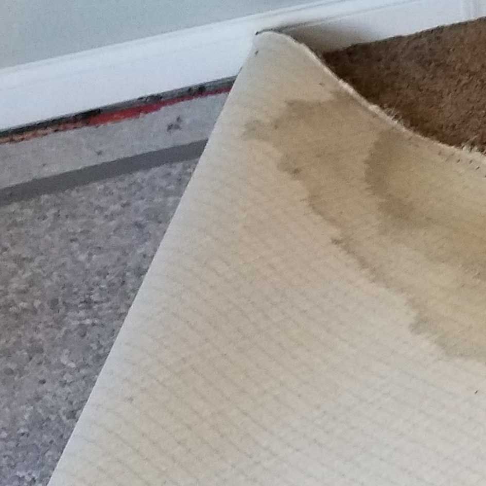 A piece of paper with a stain on it