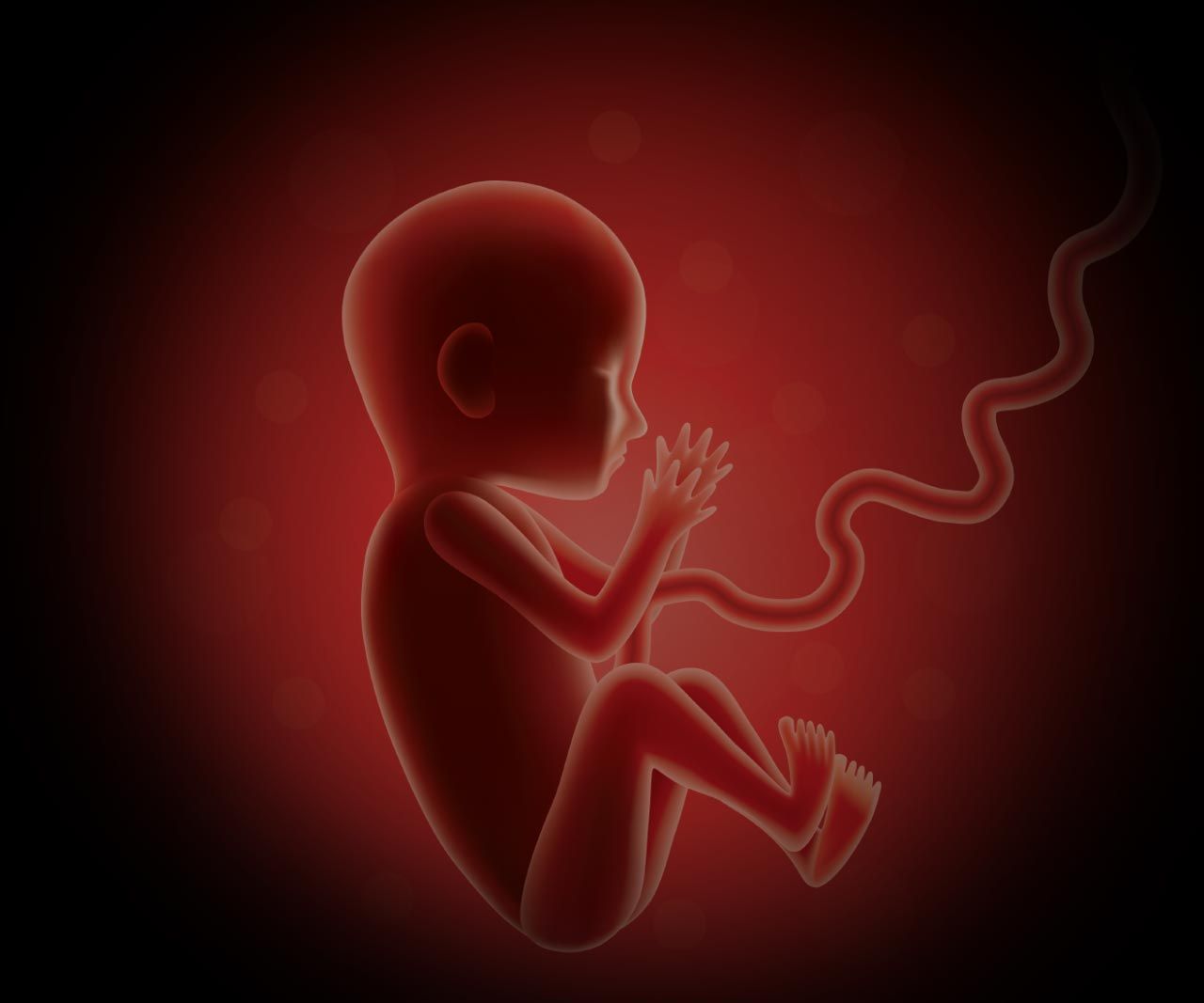 MONTAÑO RAMIREZ ELVIA DRA - Partos programados