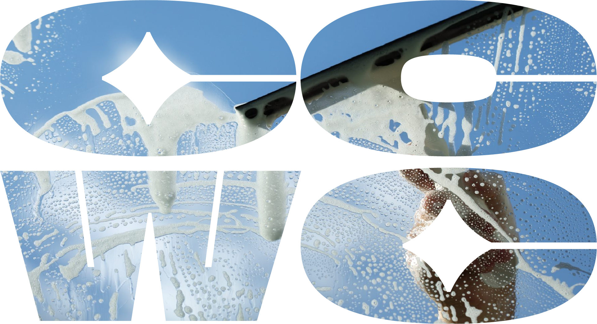professional-window-cleaners-windows-house-wash-gutters