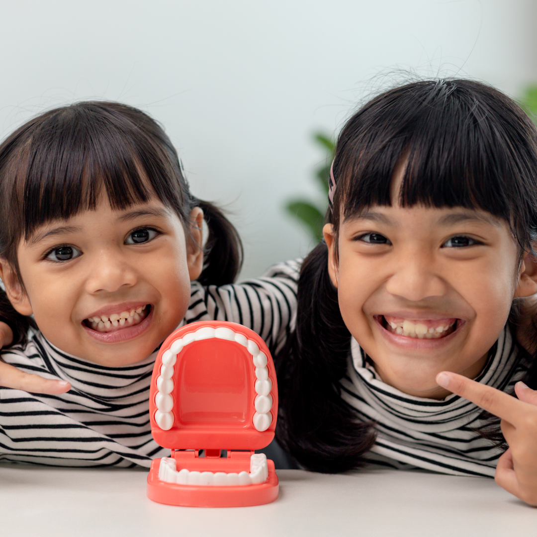 Two smiling girls point to a model of teeth on a table.