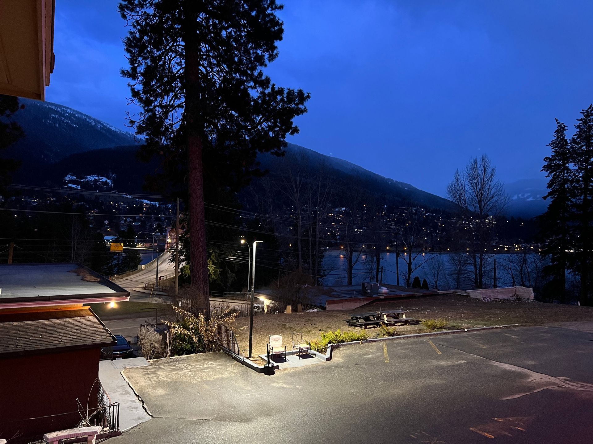 A row of benches with potted flowers on them