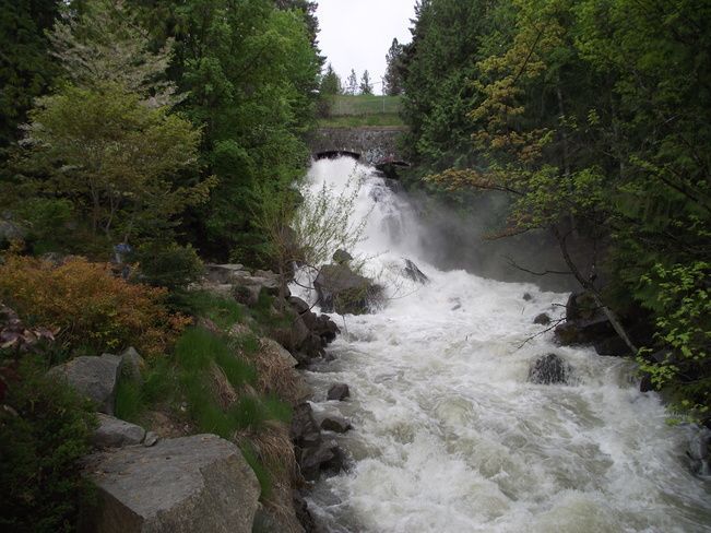 A waterfall is surrounded by trees and rocks in the middle of a forest.