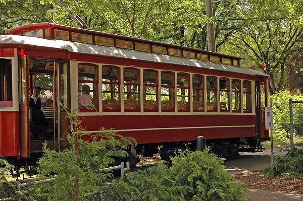 A red trolley is parked in a park surrounded by trees.