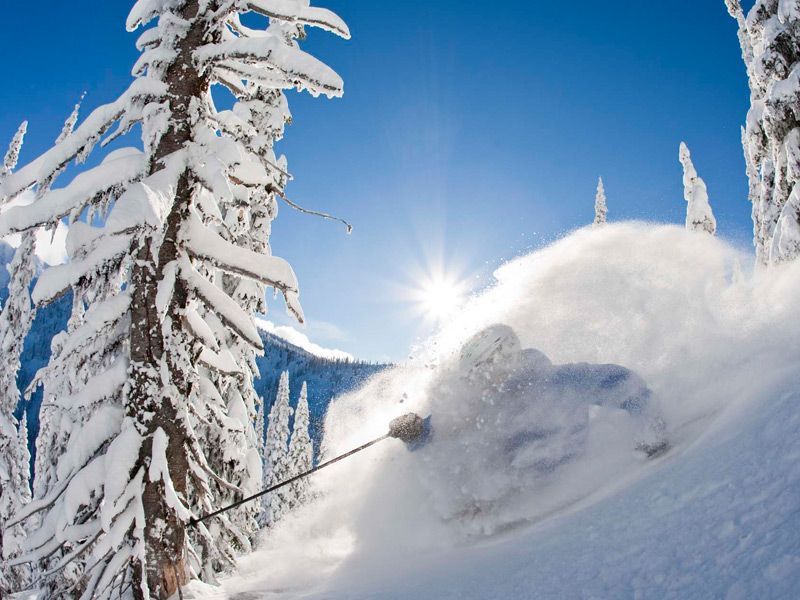 A person is skiing down a snow covered slope