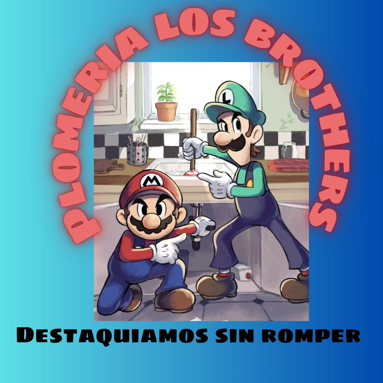 PLOMER&Iacute;A LOS BROTHERS logo