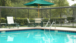 Swimming Pool Interior Finishes — Swimming Pool Design in Lutz, FL