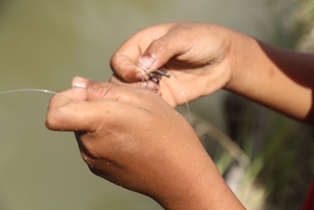 A Person is Tying a Fishing Line to a Hook — Bundy Ice in Bundaberg East, QLD