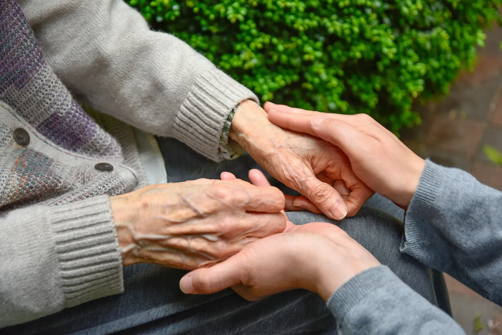 A person is holding the hand of an elderly woman.