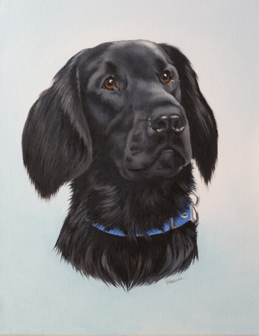 Flat coated retriever oil painting