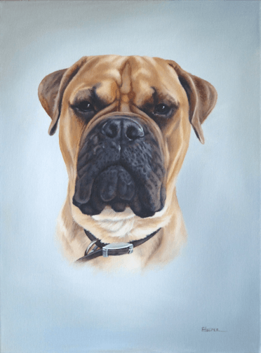 Bullmastiff oil painting