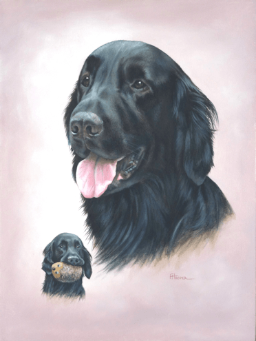 Flat coated retriever oil painting