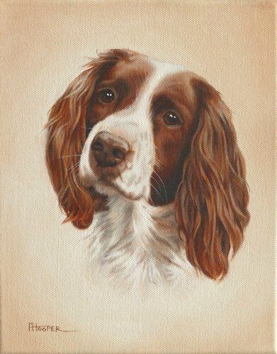Springer spaniel oil painting