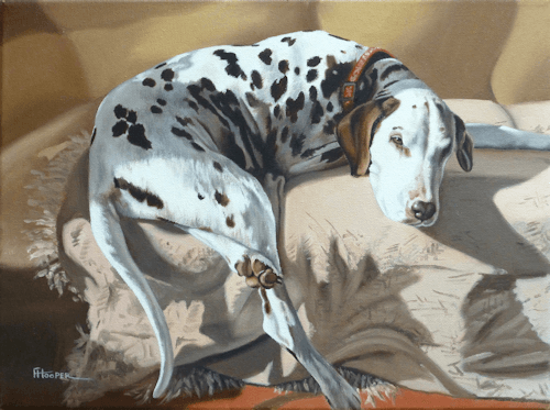 Dalmatian oil painting