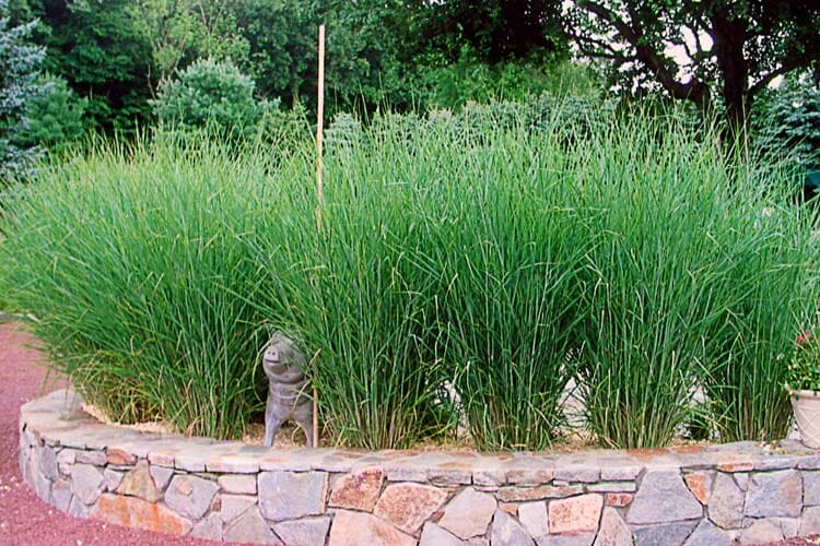 Stone Animals On The Grass — Thornwood, NY — Harry Hudd Architectural Landscapes
