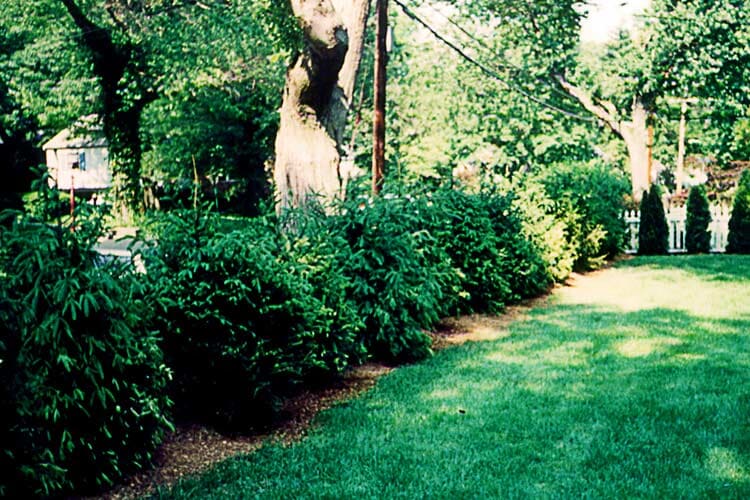 Backyard Full Of Plants — Thornwood, NY — Harry Hudd Architectural Landscapes